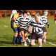 image 40 of 55